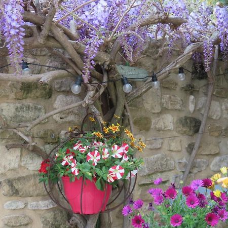 La Maison Wisteria Saint-Pantaleon-les-Vignes Exterior photo