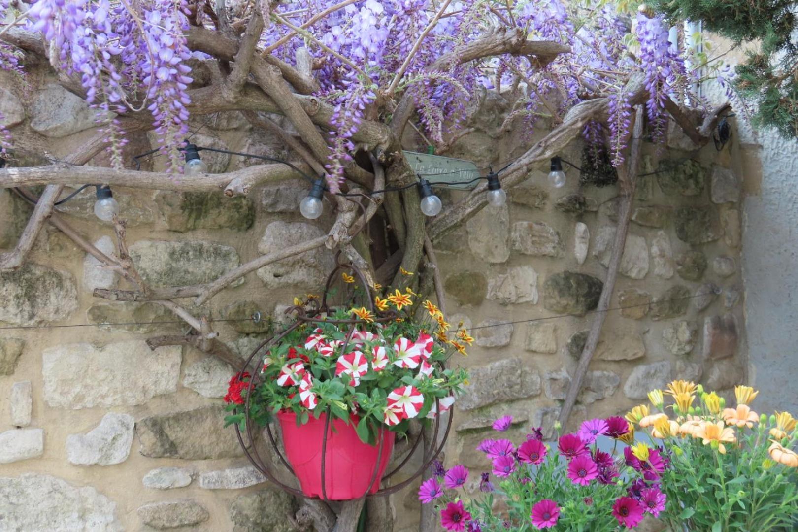 La Maison Wisteria Saint-Pantaleon-les-Vignes Exterior photo